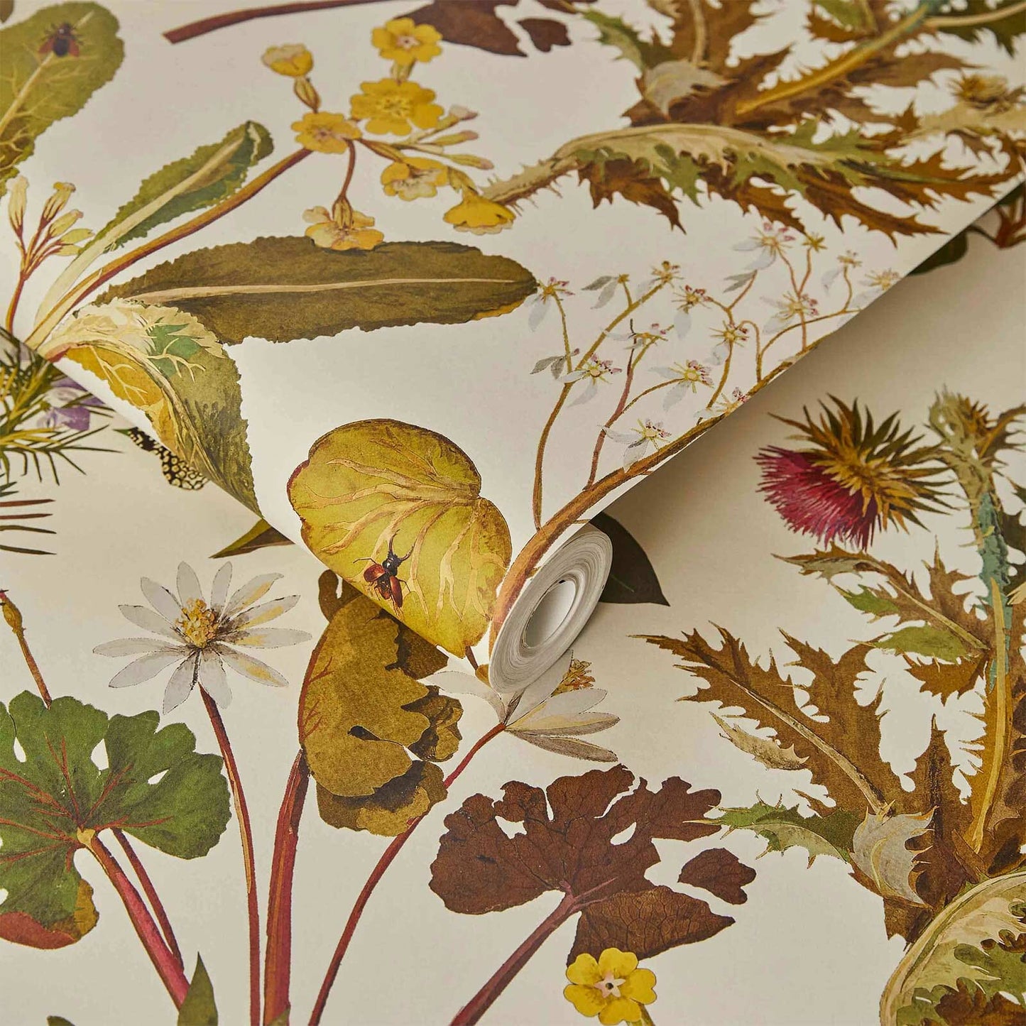 Herbarium Hybrid Mural Wallpaper - House of Hackney - Ecru