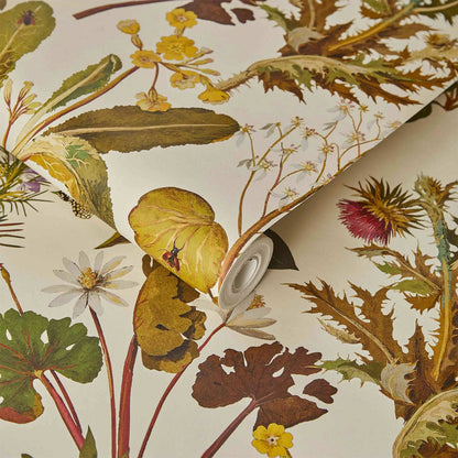 Herbarium Hybrid Mural Wallpaper - House of Hackney - Ecru