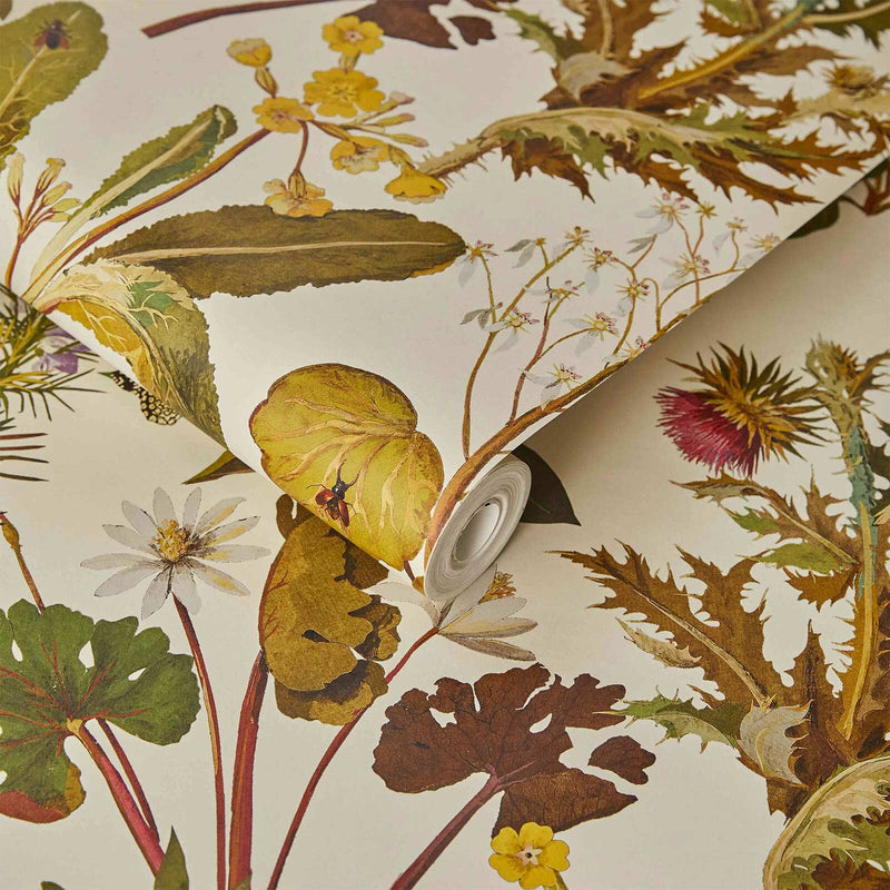 Sample - Herbarium Hybrid Mural Wallpaper - House of Hackney - Ecru