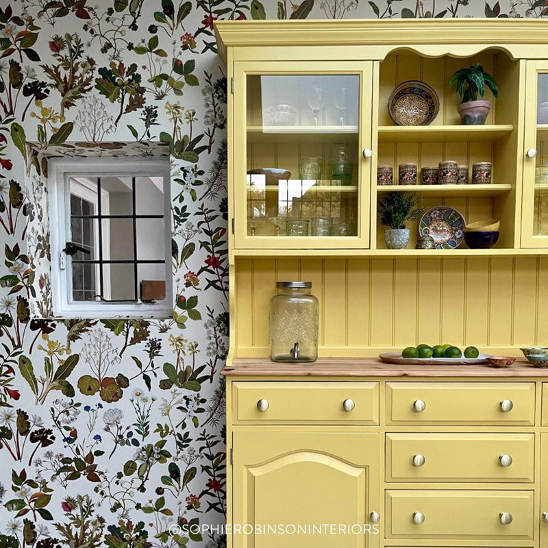 Herbarium Hybrid Mural Wallpaper - House of Hackney - Ecru