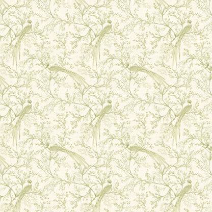 Bird Toile Wallpaper - Sage