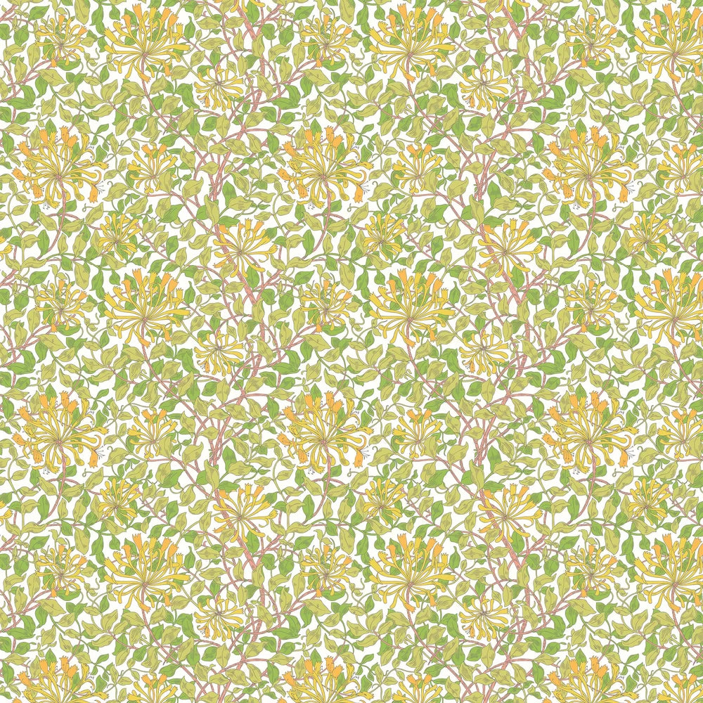 Honeysuckle Leaf Trail Wallpaper - Ohpopsi - Sunshine Yellow