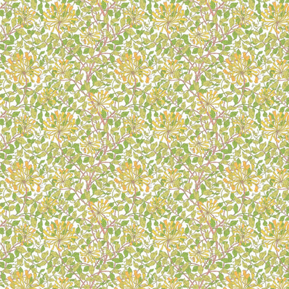 Honeysuckle Leaf Trail Wallpaper - Ohpopsi - Sunshine Yellow