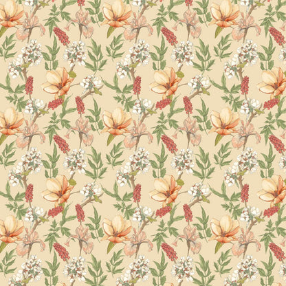 Orchid Bloom Wallpaper - Amber