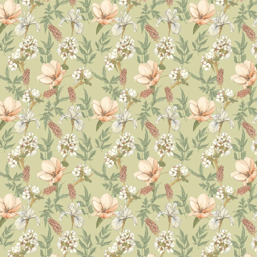 Orchid Bloom Wallpaper - Artichoke