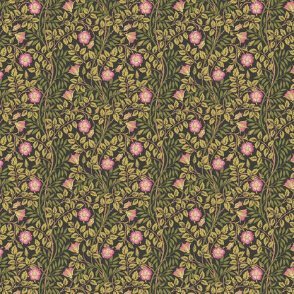 Rosehip Trail Wallpaper - Ohpopsi - Aubergine