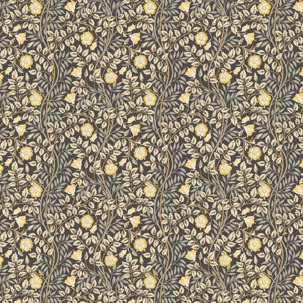Rosehip Trail Wallpaper - Ohpopsi - Chalkboard