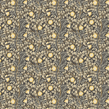 Rosehip Trail Wallpaper - Ohpopsi - Chalkboard