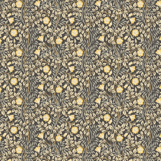 Rosehip Trail Wallpaper - Ohpopsi - Chalkboard