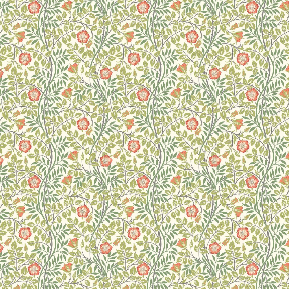 Rosehip Trail Wallpaper - Ohpopsi - Coral Pink