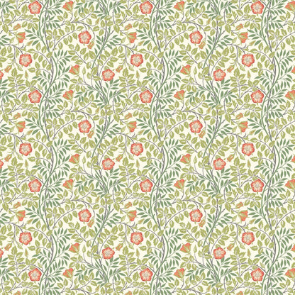 Rosehip Trail Wallpaper - Ohpopsi - Coral Pink