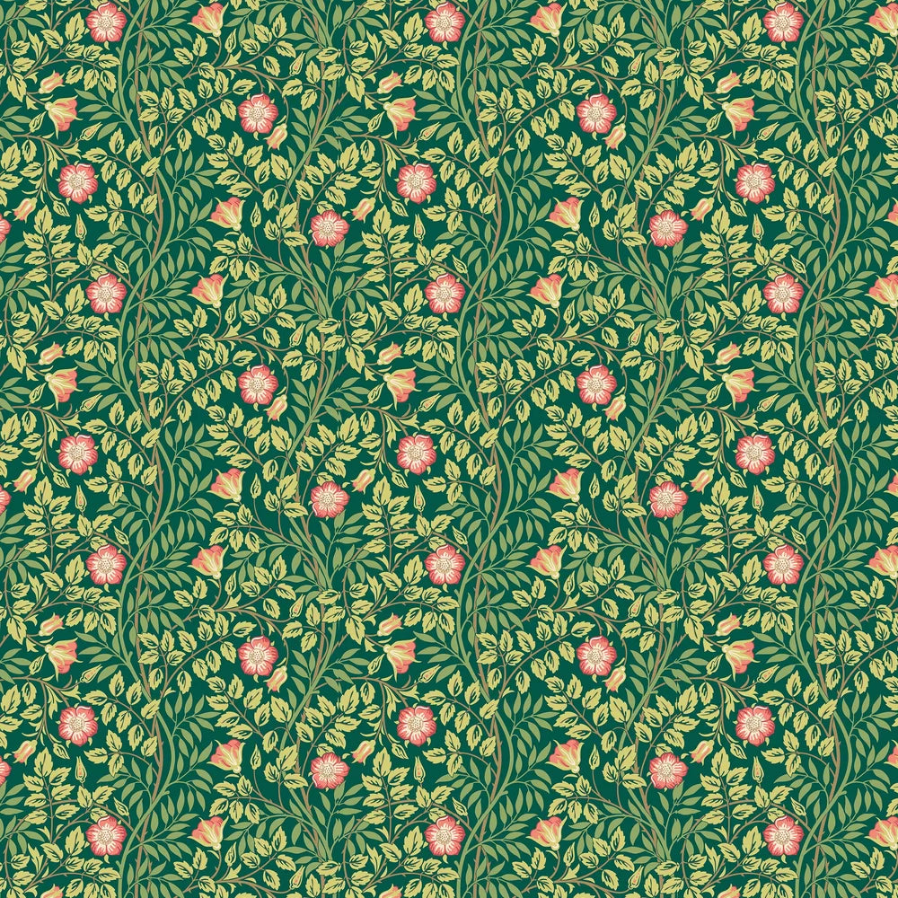 Rosehip Trail Wallpaper - Ohpopsi - Forest Green