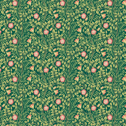 Rosehip Trail Wallpaper - Ohpopsi - Forest Green
