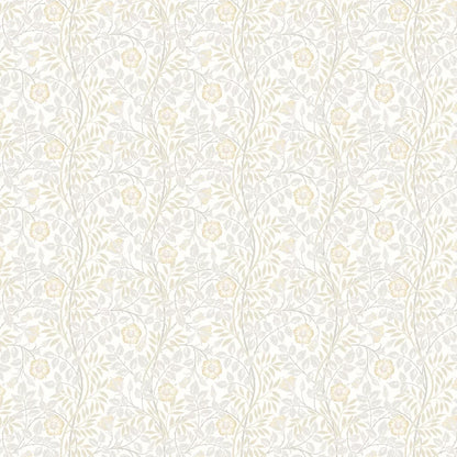 Rosehip Trail Wallpaper - Ohpopsi - Natural Stone