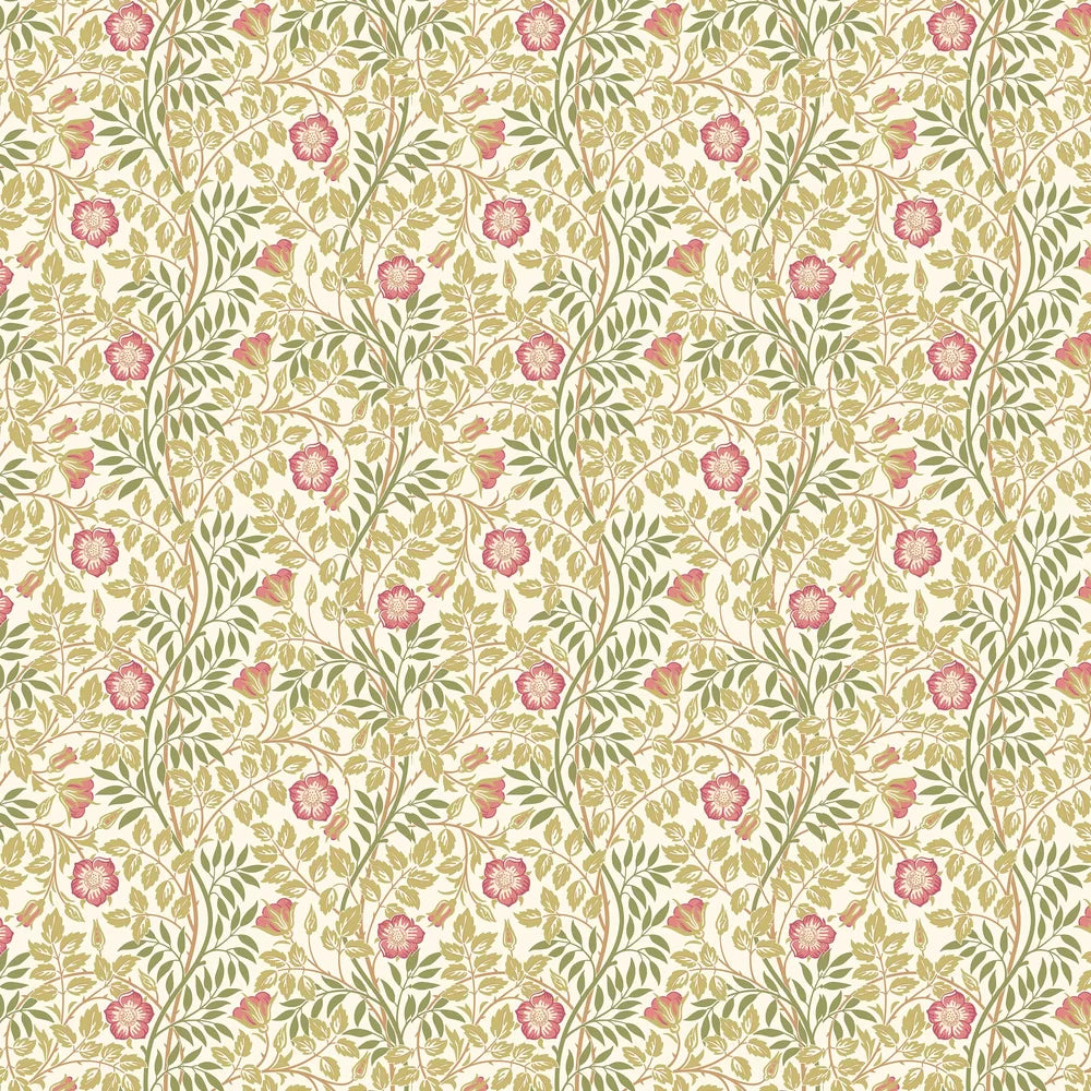 Rosehip Trail Wallpaper - Ohpopsi - Rose Pink