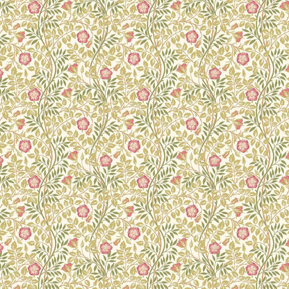 Rosehip Trail Wallpaper - Ohpopsi - Rose Pink
