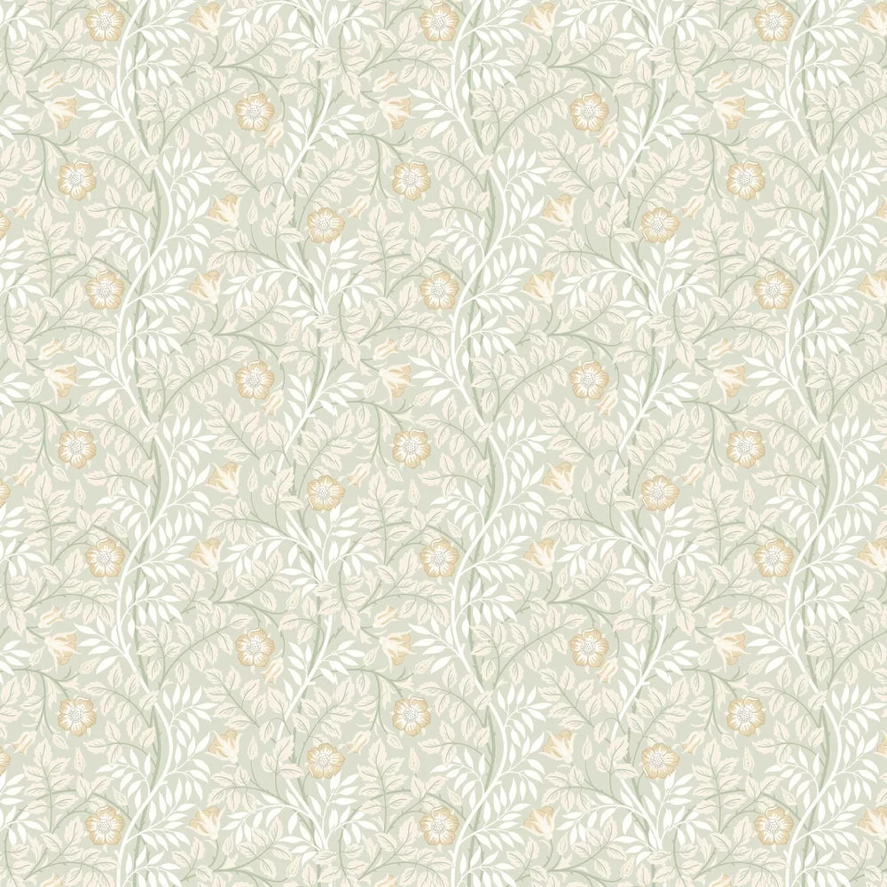 Rosehip Trail Wallpaper - Ohpopsi - Sage Green