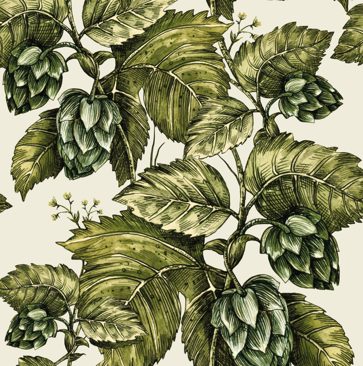 Motueka Hops - Custom Sized Wallpaper Mural (per m2)