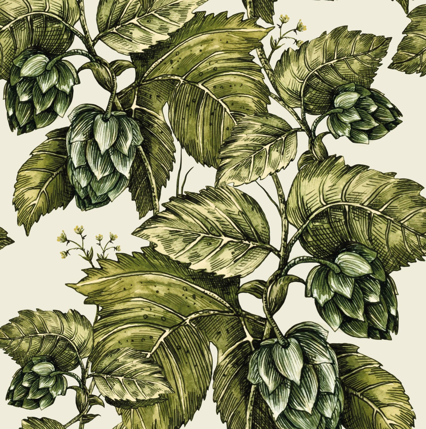 Motueka Hops - Custom Sized Wallpaper Mural (per m2)
