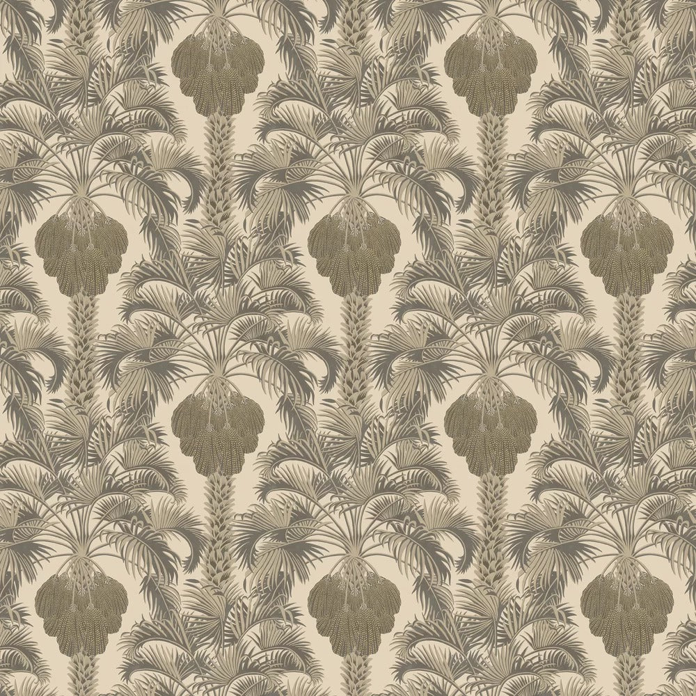 Hollywood Palm Wallpaper by Cole & Son - Silver/Charcoal
