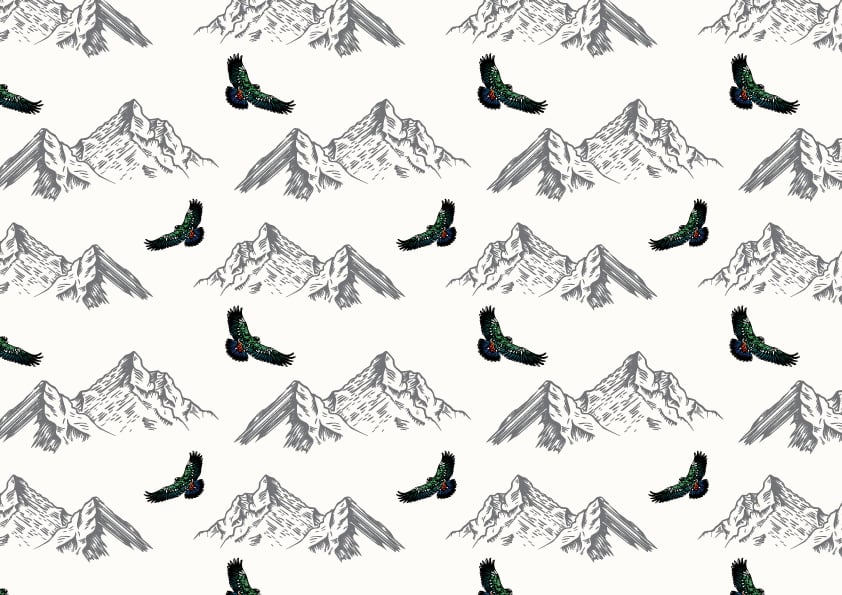 Arthurs Pass Kea Wallpaper