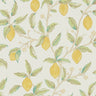 Lemon Tree by Morris Wallpaper - Bay Leaf