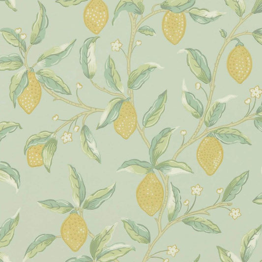 Lemon Tree by Morris Wallpaper - Sage