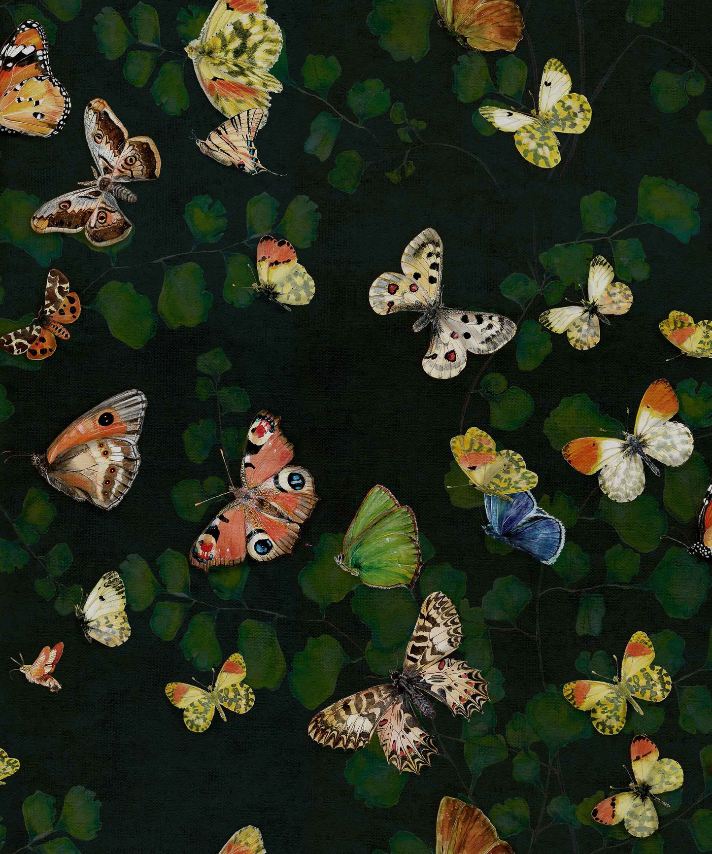 Magic Butterfly Wallpaper - Night
