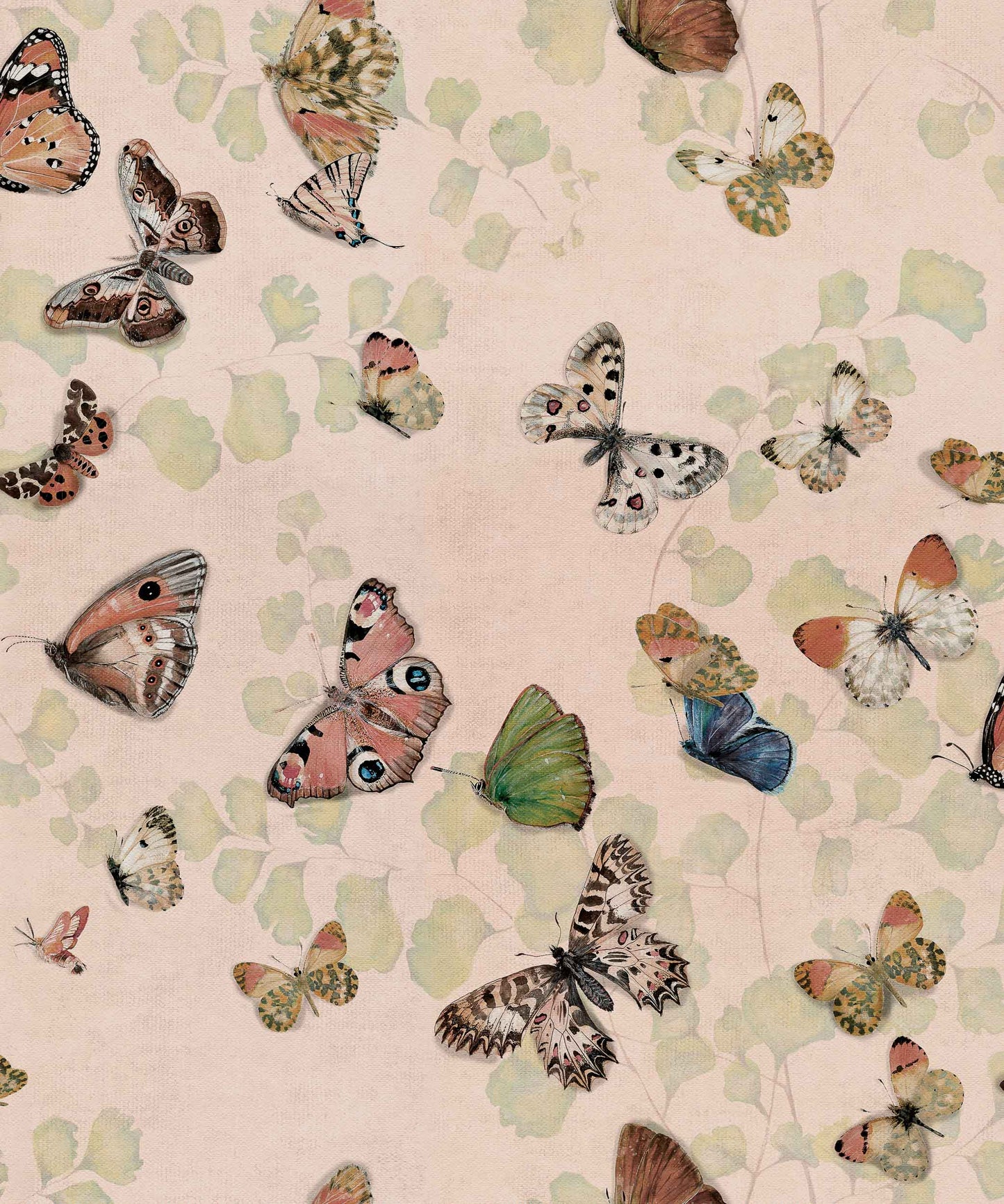 Magic Butterfly Wallpaper - Sweet Pink