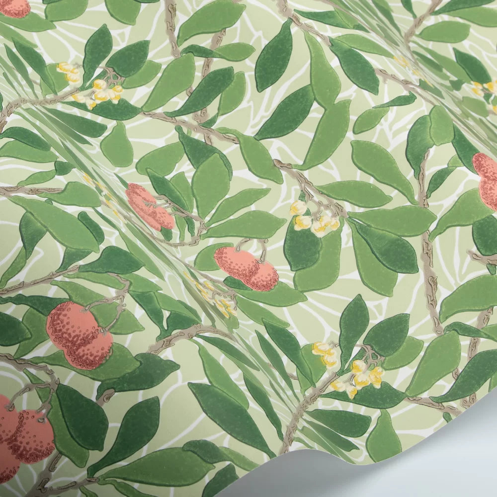 Arbutus by Morris Wallpaper - Rose