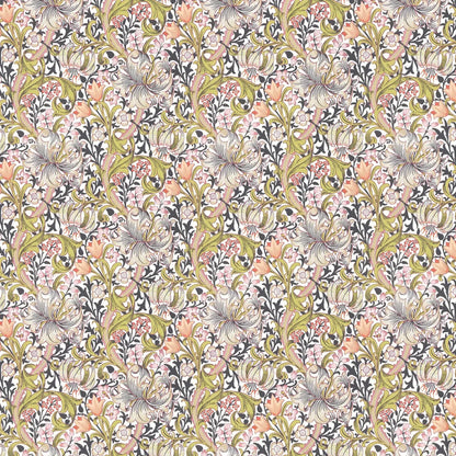 Golden Lily - Morris - Espresso