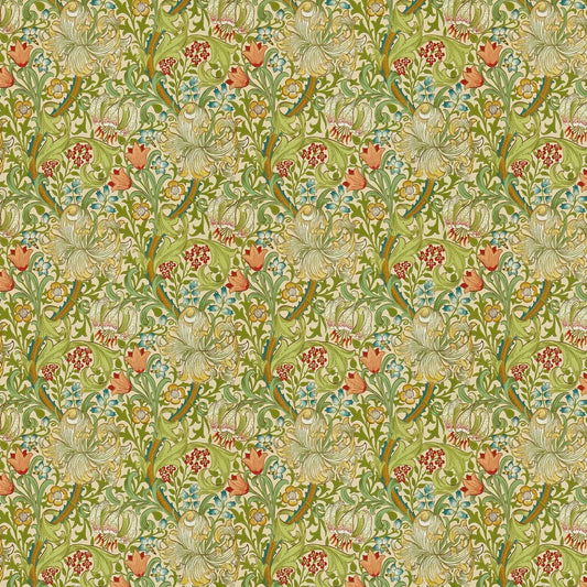 Golden Lily - Morris - Pale Biscuit