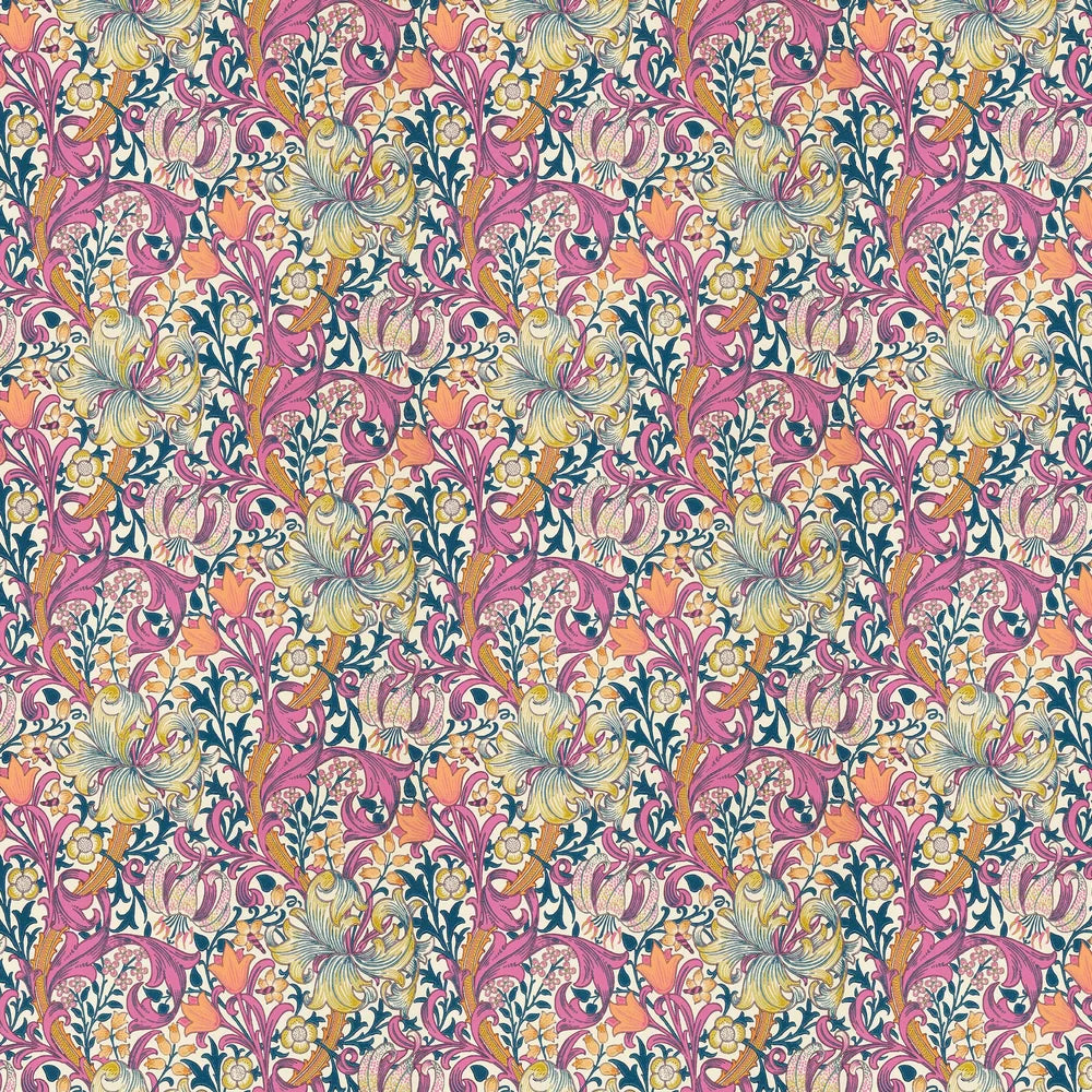 Golden Lily - Morris - Pink Fizz