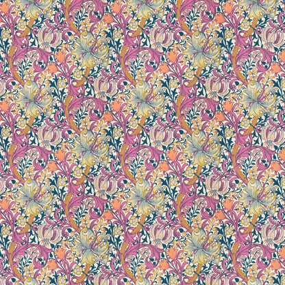 Golden Lily - Morris - Pink Fizz