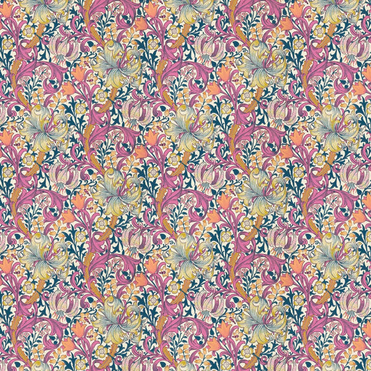 Golden Lily - Morris - Pink Fizz