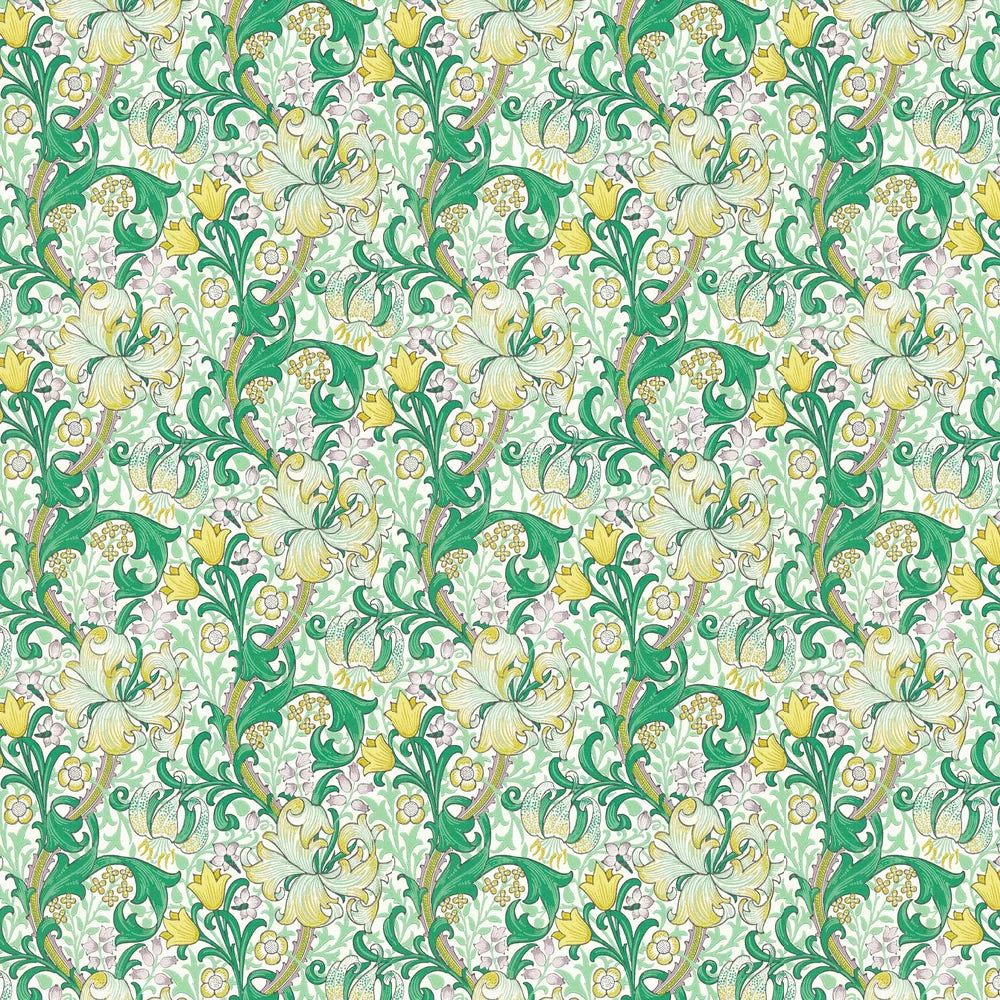 Golden Lily - Morris - Secret Garden