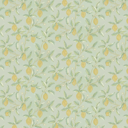 Lemon Tree by Morris Wallpaper - Sage