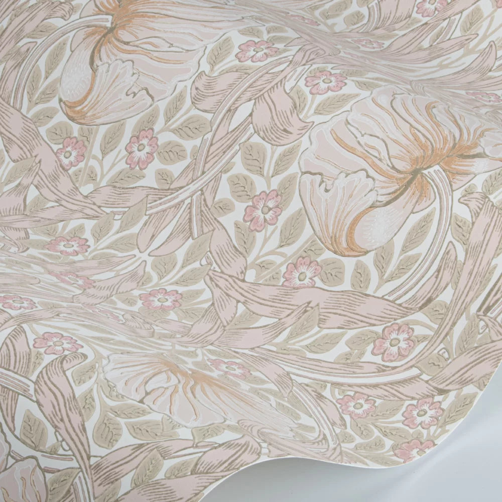Pimpernel Wallpaper - Cochineal Pink