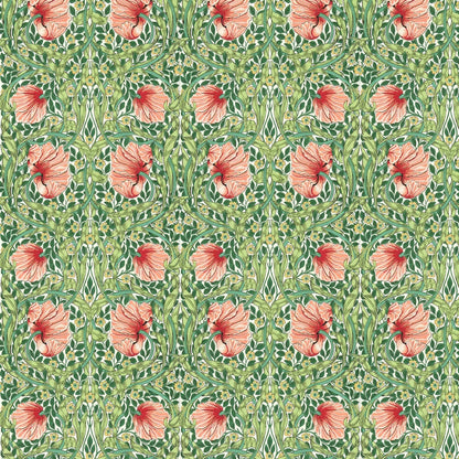 Pimpernel Wallpaper - Shamrock/Watermelon