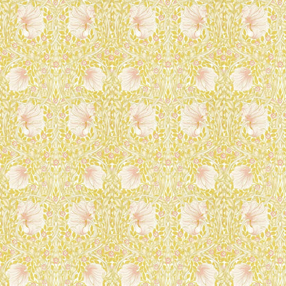 Pimpernel Wallpaper - Sunflower/Pink