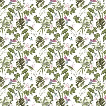Hummingbird Wallpaper - Ohpopsi - Wilderness White