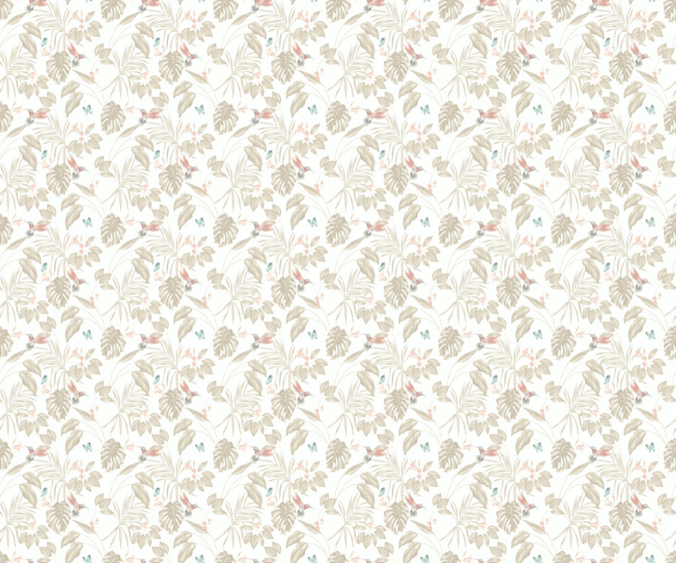Hummingbird Wallpaper - Ohpopsi - Oyster