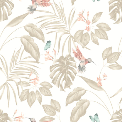 Hummingbird Wallpaper - Ohpopsi - Oyster