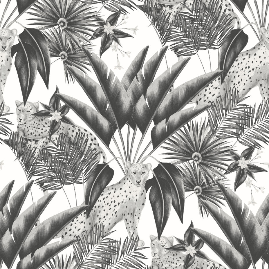Sample - Jungle Cheetah Wallpaper - Ohpopsi - Raven