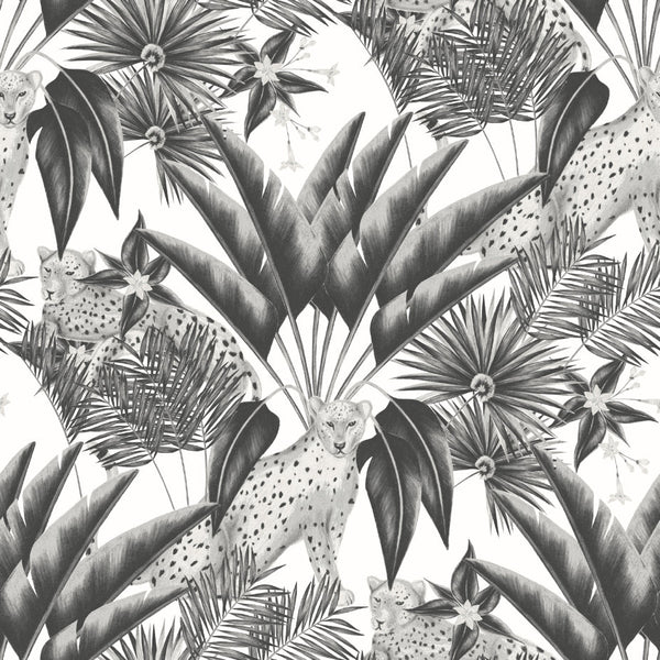 Sample - Jungle Cheetah Wallpaper - Ohpopsi - Raven