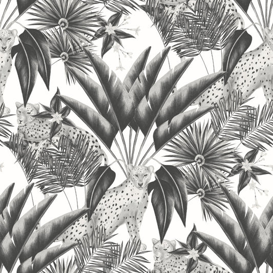 Jungle Cheetah Wallpaper - Ohpopsi - Raven