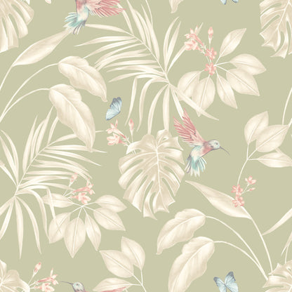 Hummingbird Wallpaper - Ohpopsi - Sage