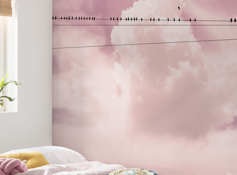 Photo Mural Wallpaper - Cloud Wire
