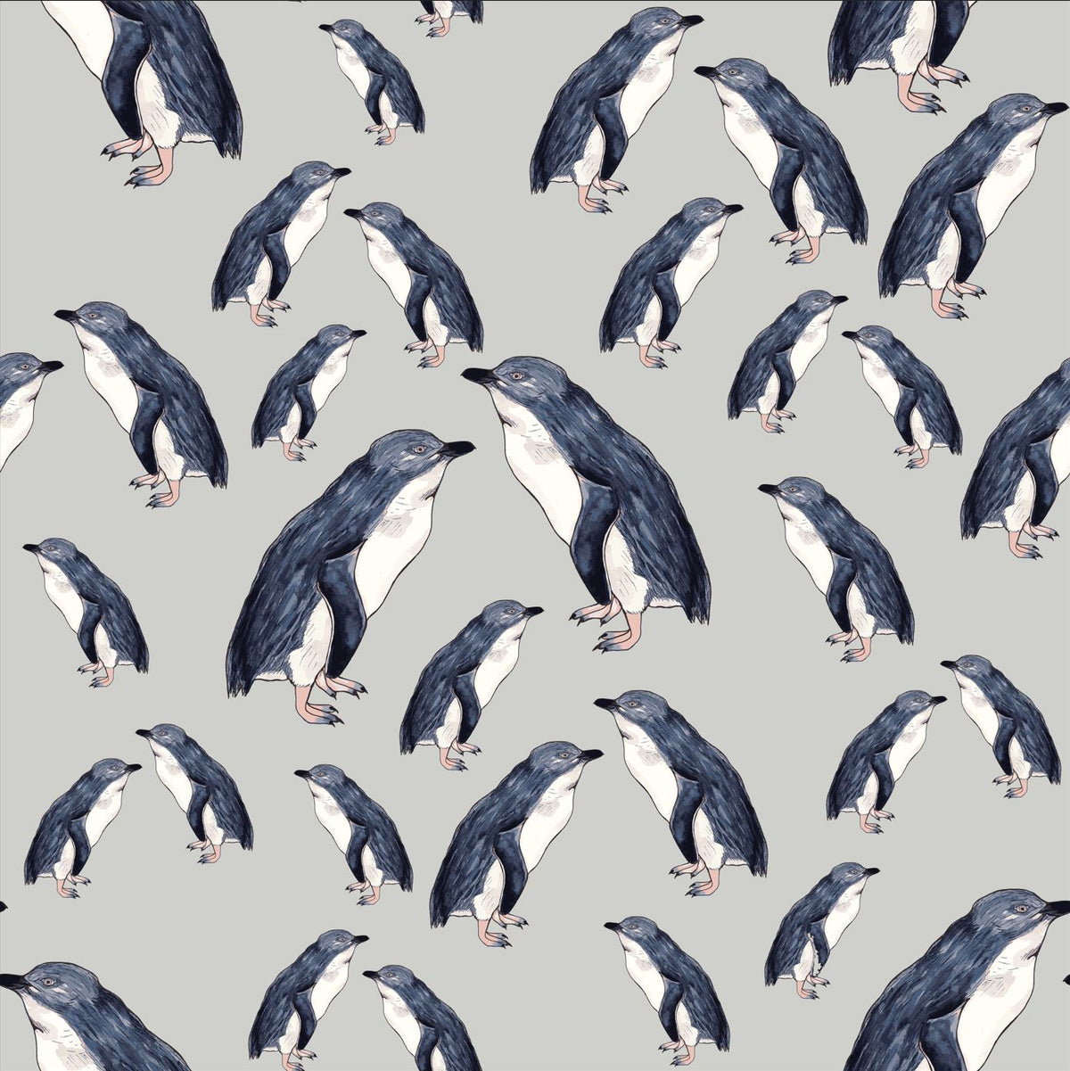 Sample - Penguin NZ wallpaper - Custom Print Wallpaper - Grey