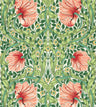 Pimpernel Wallpaper - Shamrock/Watermelon